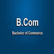 BCom 1st Year Subjects
