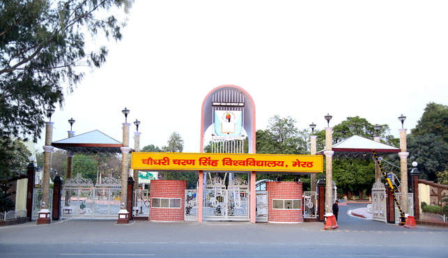 Opportunity after BA LLB from CCS University