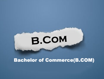 Bcom colleges in Noida